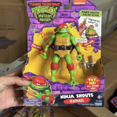 Teenage Mutant Ninja Turtles Figure Custom collectible Popular Culture